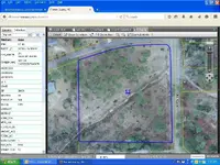 PineHill.webp
