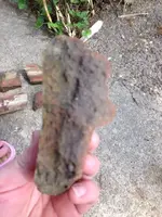 ImageUploadedByTreasureNet.com1430683009.206908.webp