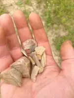 ImageUploadedByTreasureNet.com1430683053.503430.webp