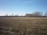 P1100334.webp