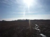 P1100335.webp