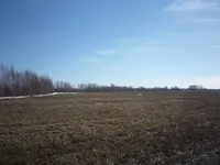 P1100336.webp