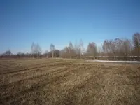 P1100337.webp