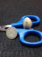 ImageUploadedByTreasureNet.com1430115882.600138.webp