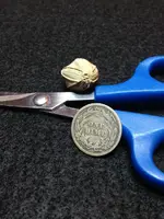 ImageUploadedByTreasureNet.com1430115937.888386.webp