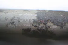 Colt 1860 Army Revolver 6.webp