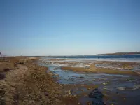 P1100346.webp