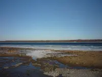 P1100347.webp