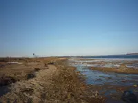 P1100351.webp