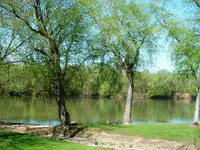 DSCF0006.webp