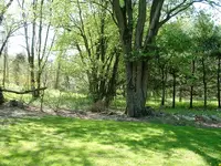 DSCF0008.webp