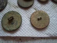 toasted coppers 004.webp
