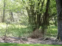 DSCF0009.webp