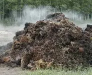manure-pile-location-unknown.webp