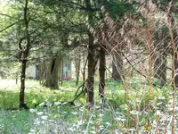 DSCF0011.webp