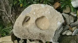 1429577022444.webp
