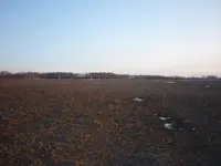 P1100359.webp