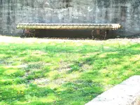 DSCF0017.webp