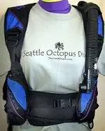 ImageUploadedByTreasureNet.com1428958662.705450.webp