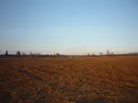 P1100362.webp