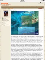 image.webp