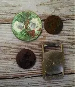ImageUploadedByTreasureNet.com1430693969.162660.webp