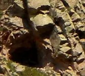 007 (2)crop1.webp