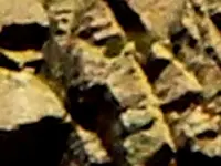 007 (2)crop2.webp