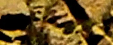 007 (2)crop3.webp