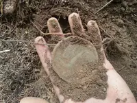 20140703_123308.webp