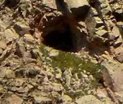 007 (2)crop4.webp