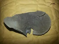 20140825_233957.webp