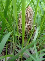 Hidden treasuresl 650.webp