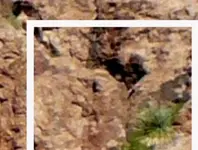 SuperstionMts1B2.webp