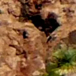 SuperstionMts1B3.webp