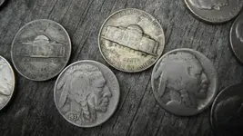 DSCF1158 (800x450).webp