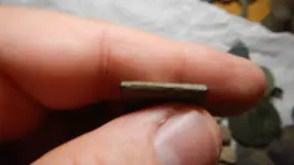 DSCN0536.webp