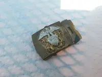 Belt Buckel.webp