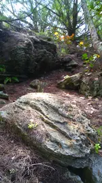 IMG_20150407_092310.webp