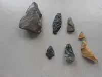 first hunt Penny nice one 001.webp