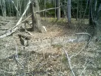 a_003.webp