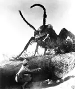 them-photos-2.webp