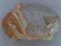 Agate-BigRedWhiteGray2015-Img_6247SSS.webp