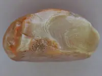 Agate-BigRedWhiteGray2015-Img_6248SSS.webp Agate-BigRedWhiteGray2015-Img_6248SSS.webp