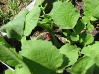 IMG_0978.webp IMG_0978.webp