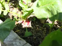 IMG_0979.webp IMG_0979.webp