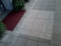 Foto0429.webp