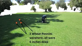 Park Finds 3-28-15 004.webp