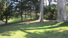Park Finds 3-28-15 006.webp