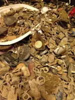 ImageUploadedByTreasureNet.com1428459854.271708.webp
